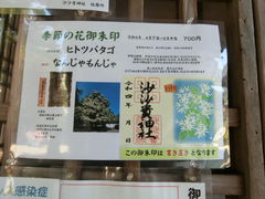 ���܂�����̍����M�_�Ђւ̓��e�ʐ^1