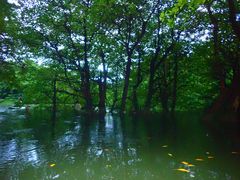 Ί_ ADVENTURE PiPi̎ʐ^2