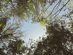 }}́yxmRRVсzXpCV[Wւ̓eʐ^1