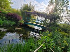 いっちゃんさんの北川村「モネの庭」マルモッタンへの投稿写真1