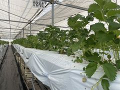 ݂̂̂悵ςςt@[ւ̓eʐ^2