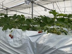 ݂̂̂悵ςςt@[ւ̓eʐ^3