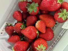 ͂₩}}̂̂ւ̓eʐ^1