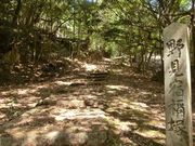 ���܂�����̖쌩�h�H�_�Ђ̓��e�ʐ^1