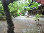 ���܂�����̑��_�Ђ̓��e�ʐ^1