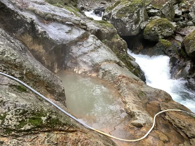 ���M_�F�̓�