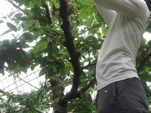 ȑ̕܂œoL΂ƔTN{fdsł܂(;'')_ڎEt[c_