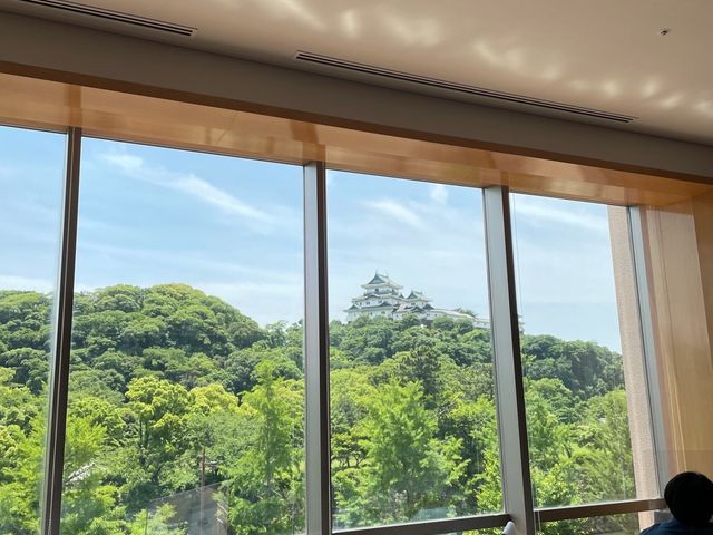 �\�񂵂čs�����̂ŁA�Ȃ͑��ۂŁA�V�΂̏t�̌i�F���y���߂܂����B_�_�C�����C�l�b�g�z�e���a�̎R