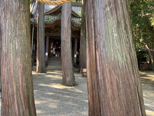 �L����_�L����