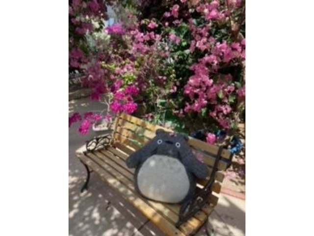 �g�g�����̂P_�u�[�Q���n�E�X���