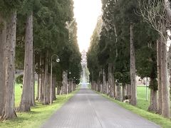 AB̌Vg[̐C@igsXgC@jւ̓eʐ^1