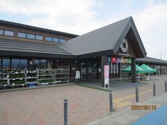 jC`̓̉w đ@ēւ̓eʐ^1