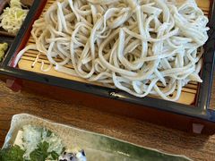 n}`̂Αł̌@ωւ̓eʐ^2