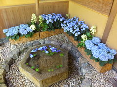 jR񂳂̈bώRւ̓eʐ^1