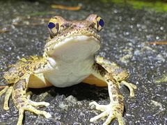 t؂̉iCgcA[T[rXւ̓eʐ^1