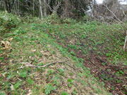 AB̓ڈΒnV}xwՂ̓eʐ^3