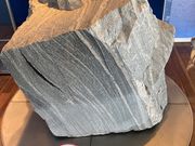 EbL[̊Ss̊CȊwق̓eʐ^1