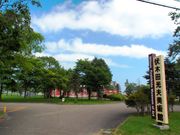 ӂ[̉Y͒ؓcvpق̓eʐ^1