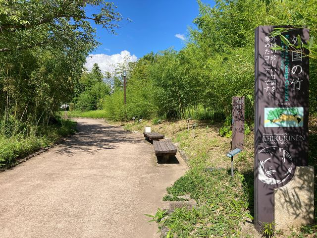 �|�щ�_�|�щ�