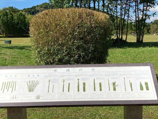 �|�щ�_�|�щ�