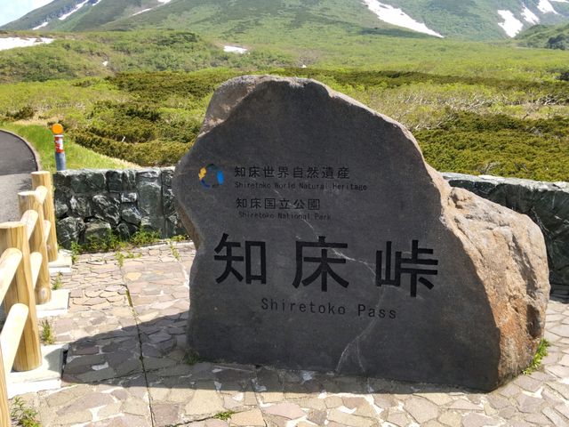 �����炵�ǂ�_�m����