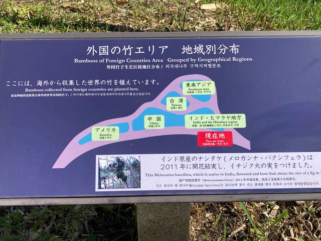 �|�щ�_�|�щ�