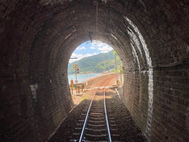 ��F����񂶓S�������w_��F����񂶓S�������w