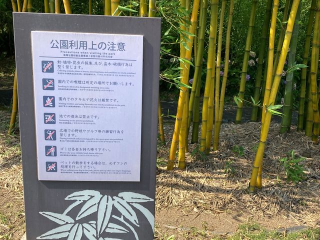 �|�щ�_�|�щ�