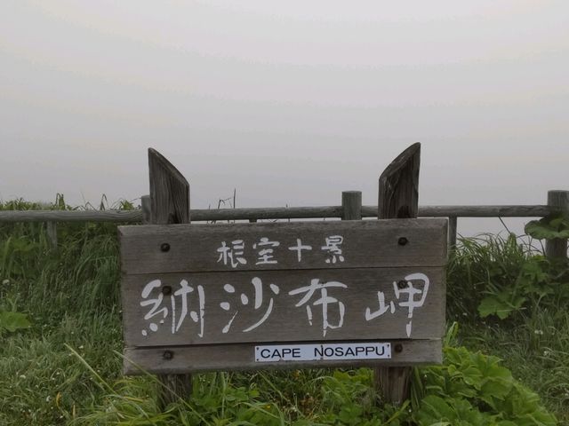 �����p�ɂɏo�v_�[���z��