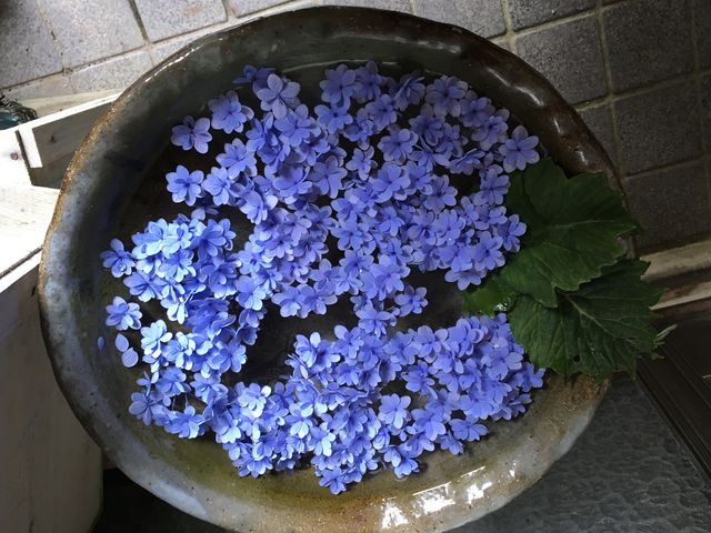 ���ւ̂��炦_�����H�[