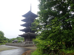 �}�C�a�n�n����̋Ɋy�R�������ւ̓��e�ʐ^1