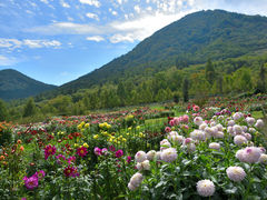 田中さんの木島平やまびこの丘公園　望郷にこにこファームの投稿写真1