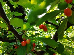 l`̂ӂꂠ̉Ƃւ̓eʐ^1