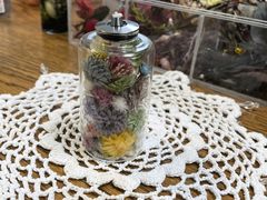 t-mõn[oX`[ւ̓eʐ^1