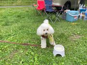 AB̃XvbVK[fI[gLv̓eʐ^1