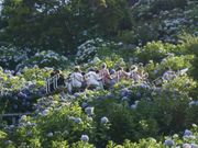 ӂ݂񂳂̒삠̗̓eʐ^2