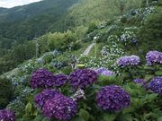 ӂ݂񂳂̒삠̗̓eʐ^3