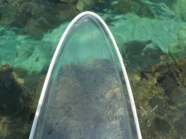 �N���A�T�b�v���炫�ꂢ�Ɍ�����T���S_CLEARSUP JAPAN�y75�}�����z�h���[����B�f���ʐ^�B�����!