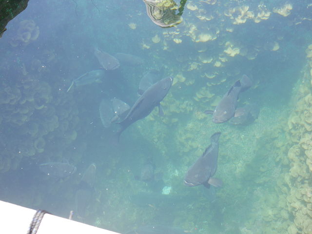 ybgł_ΔnA[tBbVOVD@Ȃ