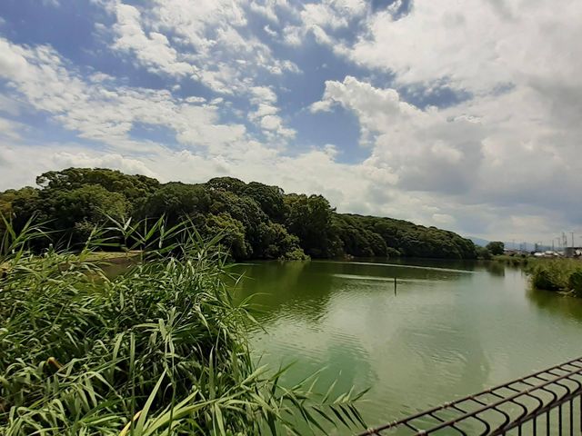 河内大塚山古墳】アクセス・営業時間・料金情報 - じゃらんnet