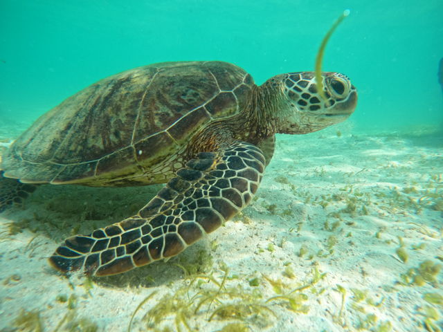 �E�~�K���ɉ�Ďʐ^�܂Ńv���[���g���Ē����܂����I
���q�����тł����I_BIGHOLIDAY-TRIP