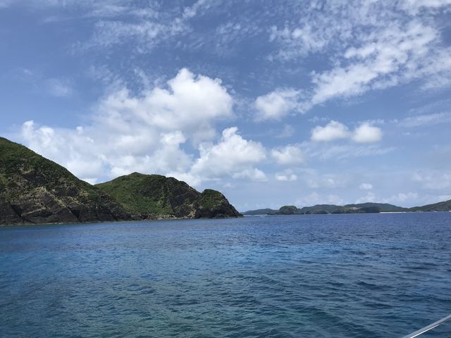 �R�����ڂ̃|�C���g�B�T������ɏo��܂����B_�W���C�N���G�C�g���� �e�B�[�_