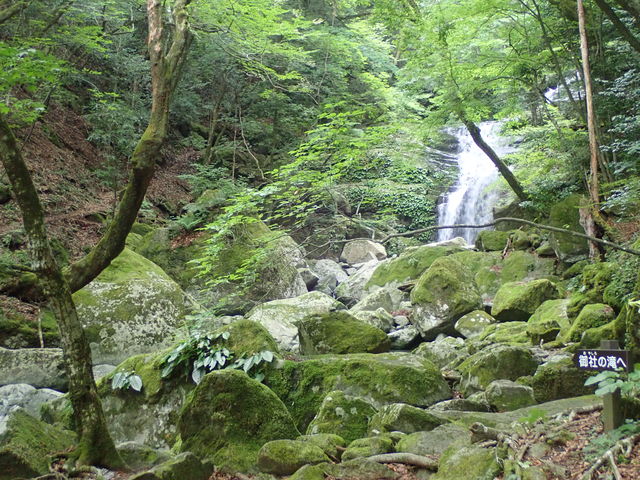 �_�����R�V����