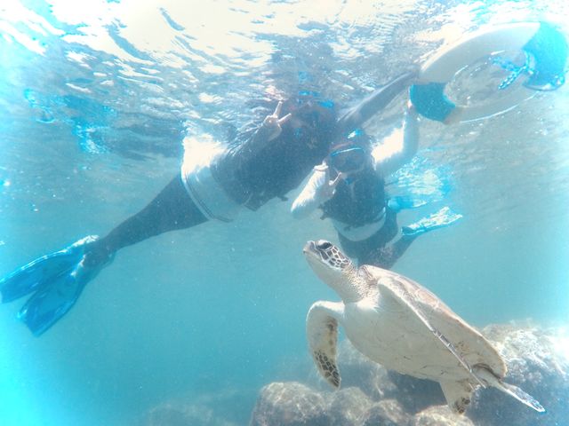 �ʐ^�������ɑ����Ă��炦�܂����B_CHURA�{�Ó�
