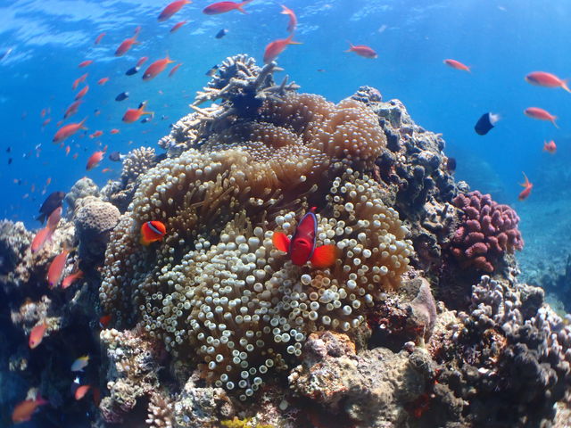 ܂܂@part1_V[WbN_Cut@~[