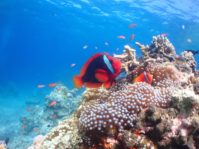 ܂܂@part2_V[WbN_Cut@~[