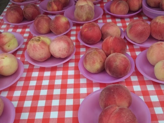 Hוp̑R̓OɂƂĂ܂܂iOOG__O[vnEX