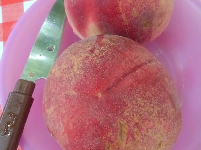 X^bt̏ɂ߂ĂAÂĔ__O[vnEX