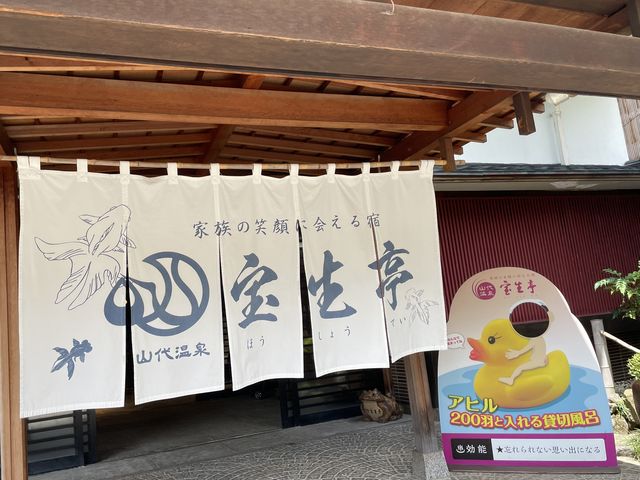 ����_�󐶒�(���A�艷��E�����`)