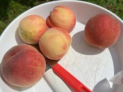 �����_���̎ʐ^2